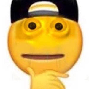 Meet your Posher, Ani